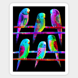 Sleeping Budgies Sticker